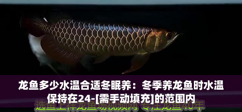 龍魚多少水溫合適冬眠養：冬季養龍魚時水溫保持在24-[需手動填充]的范圍內