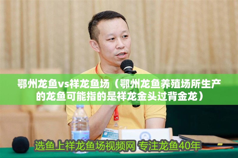<strong><mark>鄂州</mark></strong>龍魚vs祥龍魚場（<strong><mark>鄂州</mark></strong>龍魚養(yǎng)殖場所生產(chǎn)的龍魚可能指的是祥龍金頭過背金龍）