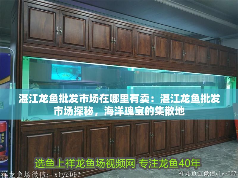 湛江龍魚批發(fā)市場在哪里有賣：湛江龍魚批發(fā)市場探秘，海洋瑰寶的集散地