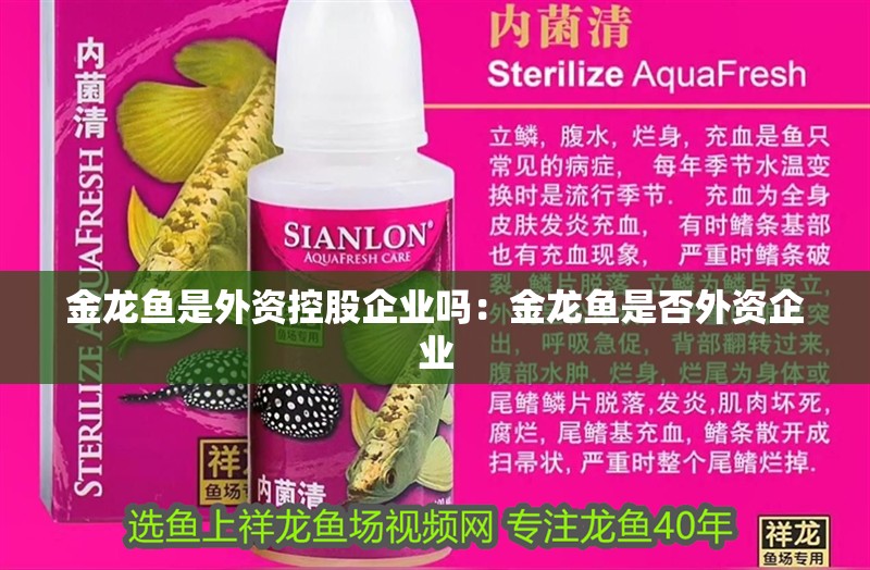 金龍魚是外資控股企業嗎：金龍魚是否外資企業