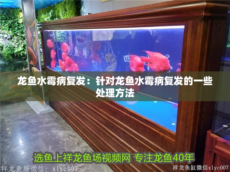 龍魚水霉病復發：針對龍魚水霉病復發的一些處理方法