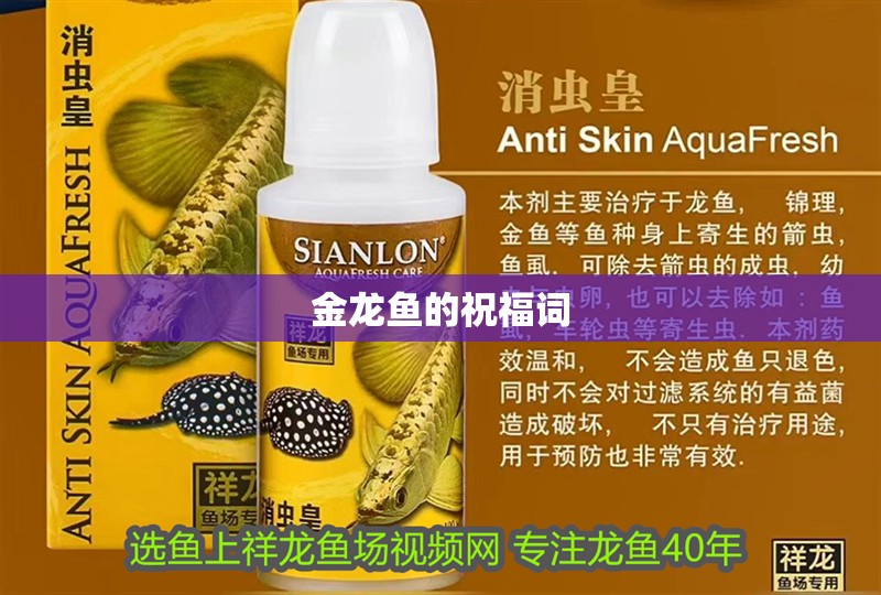 金龍魚的祝福詞