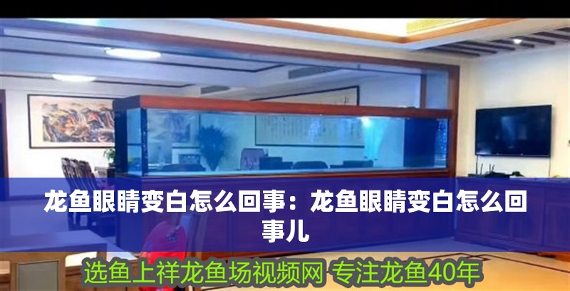 龍魚眼睛變白怎么回事：龍魚眼睛變白怎么回事兒