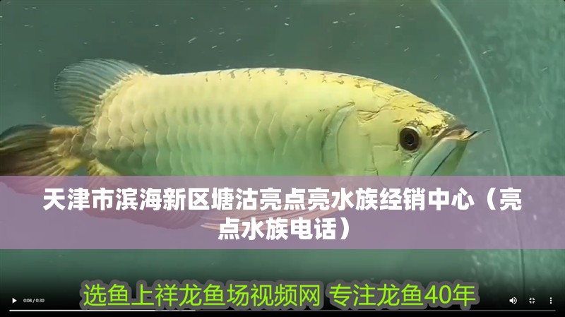 天津市濱海新區(qū)塘沽亮點亮水族經銷中心（亮點水族電話）
