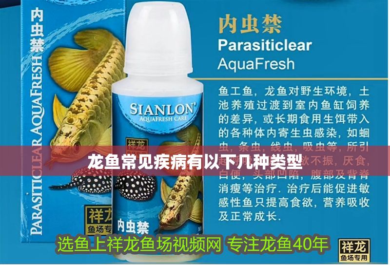 龍魚常見疾病有以下幾種類型