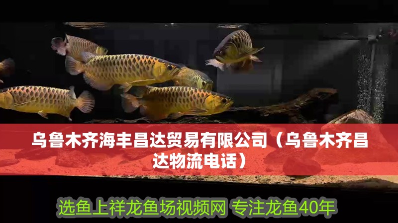 烏魯木齊海豐昌達貿易有限公司（烏魯木齊昌達物流電話）