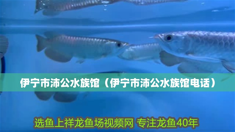 伊寧市沛公水族館（伊寧市沛公水族館電話）