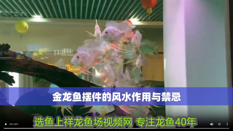 金龍魚(yú)擺件的風(fēng)水作用與禁忌