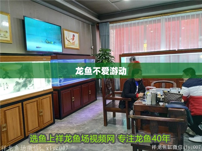 龍魚不愛游動