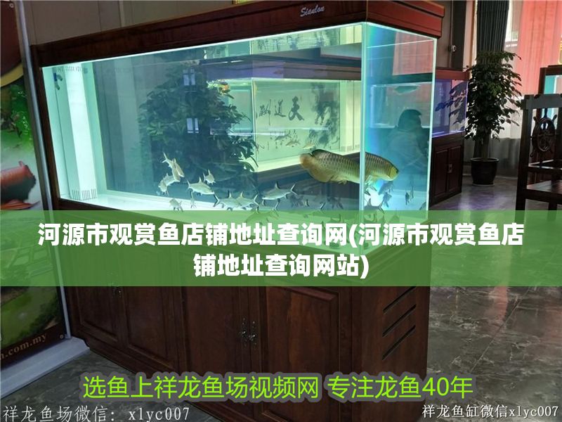 河源市觀賞魚店鋪地址查詢網(河源市觀賞魚店鋪地址查詢網站)