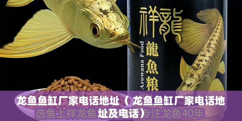 龍魚魚缸廠家電話地址（ 龍魚魚缸廠家電話地址及電話） 龍魚魚缸廠家電話地址（ 龍魚魚缸廠家電話地址及電話） 龍魚百科 第1張