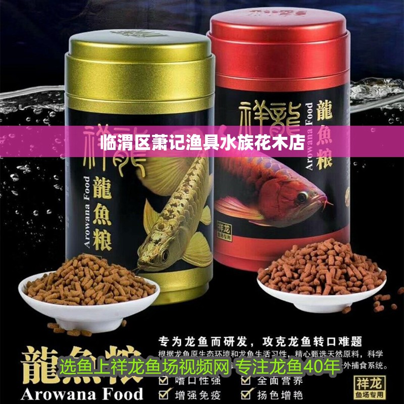 臨渭區蕭記漁具水族花木店