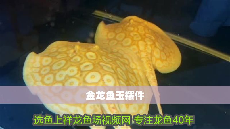 金龍魚玉擺件