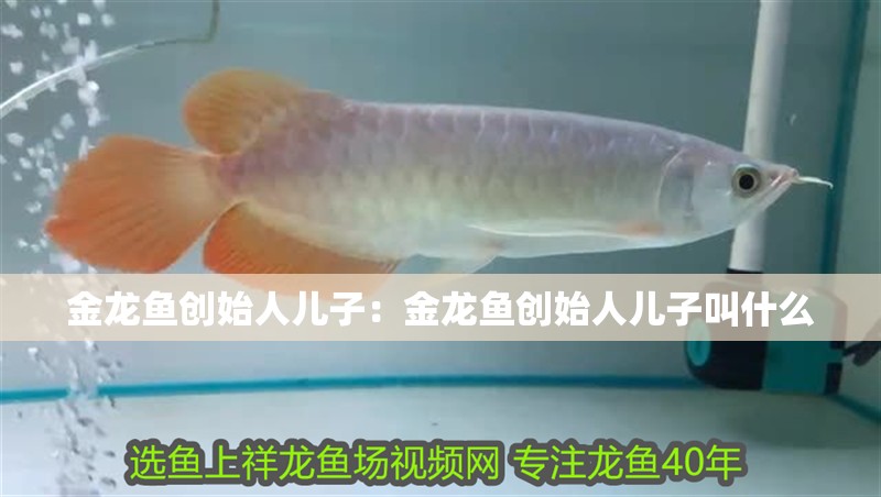 金龍魚創始人兒子：金龍魚創始人兒子叫什么