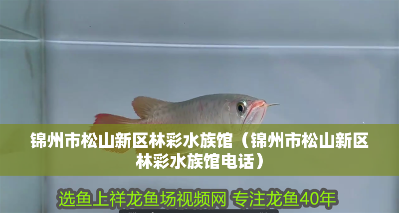錦州市松山新區林彩水族館（錦州市松山新區林彩水族館電話）