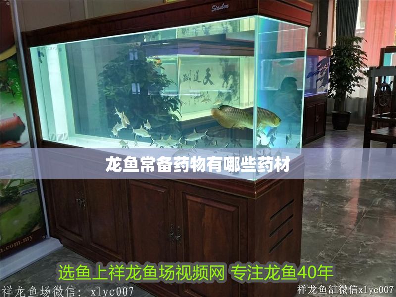 龍魚常備藥物有哪些藥材