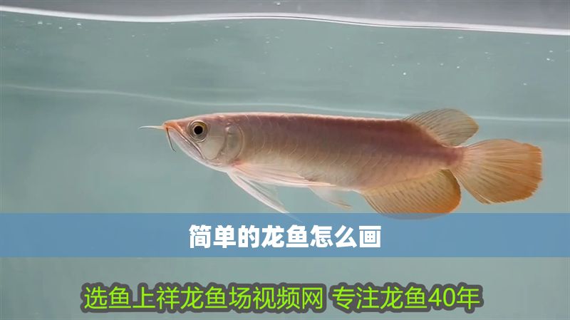 簡單的龍魚怎么畫