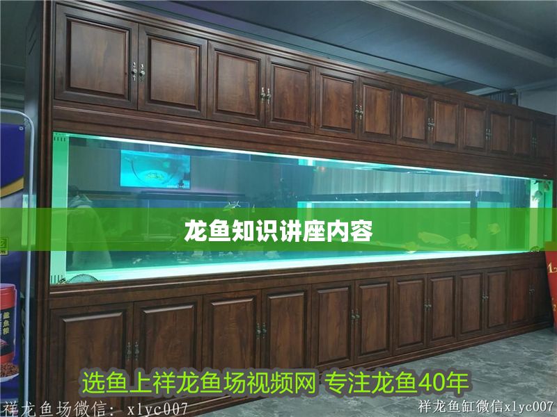 龍魚知識講座內(nèi)容
