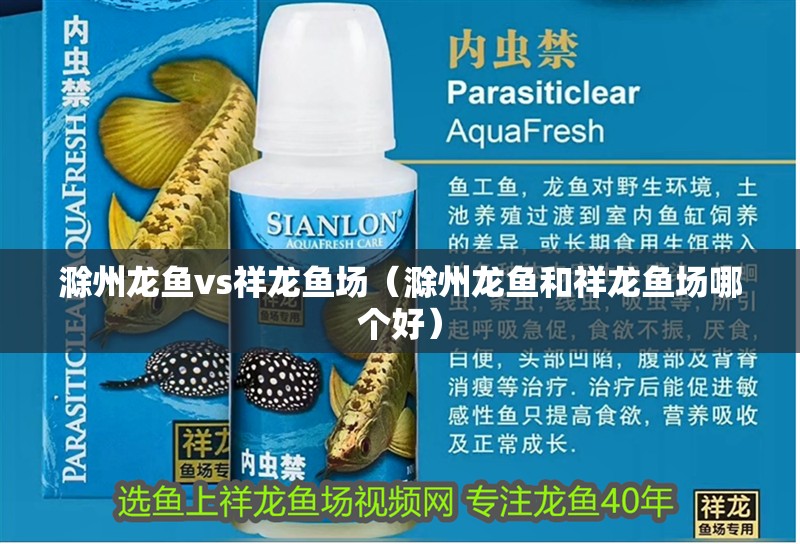 滁州龍魚vs祥龍魚場（滁州龍魚和祥龍魚場哪個好）