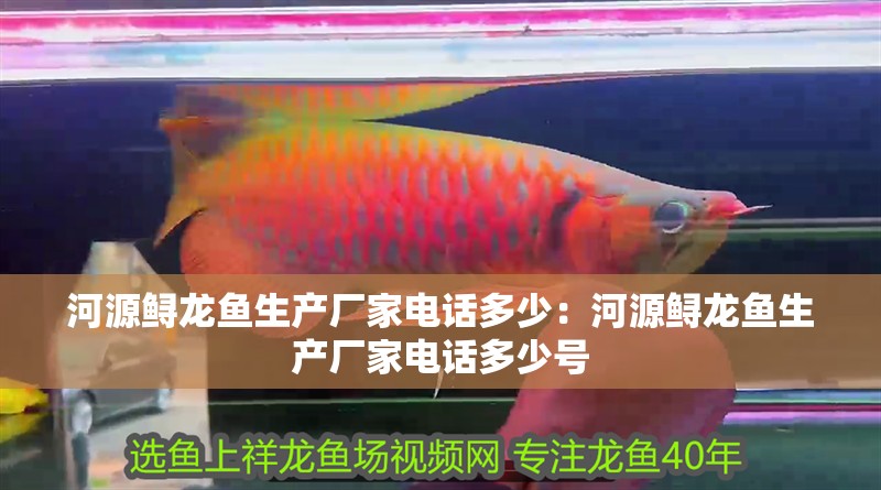 玻璃魚缸式會議是什么：玻璃魚缸式會議是一種以討論和交流為主的會議形式