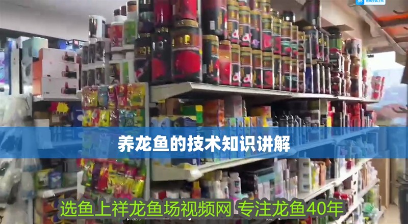 養(yǎng)龍魚的技術(shù)知識(shí)講解