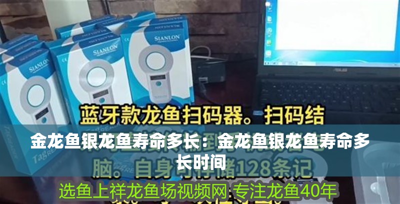 金龍魚銀龍魚壽命多長：金龍魚銀龍魚壽命多長時間