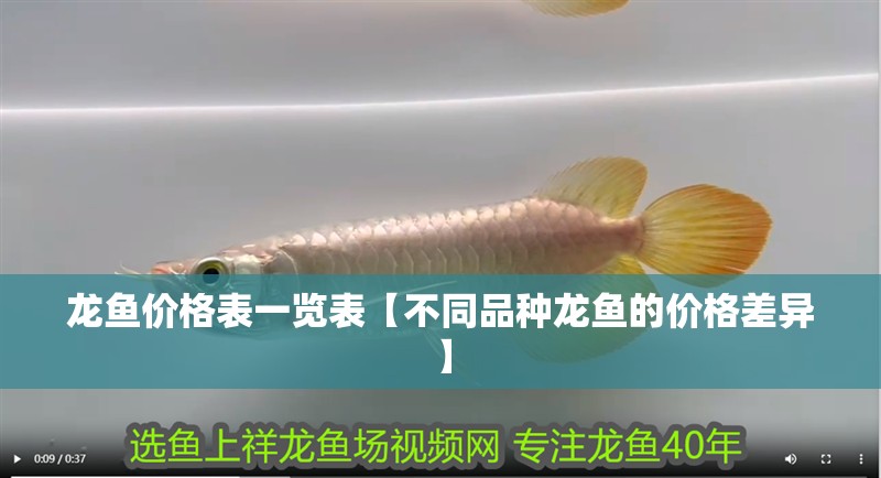 龍魚價格表一覽表【不同品種龍魚的價格差異】