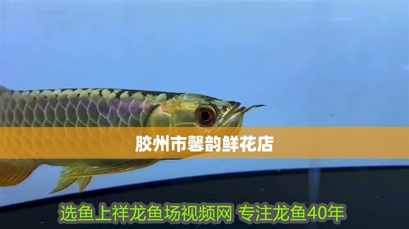 膠州市馨韻鮮花店