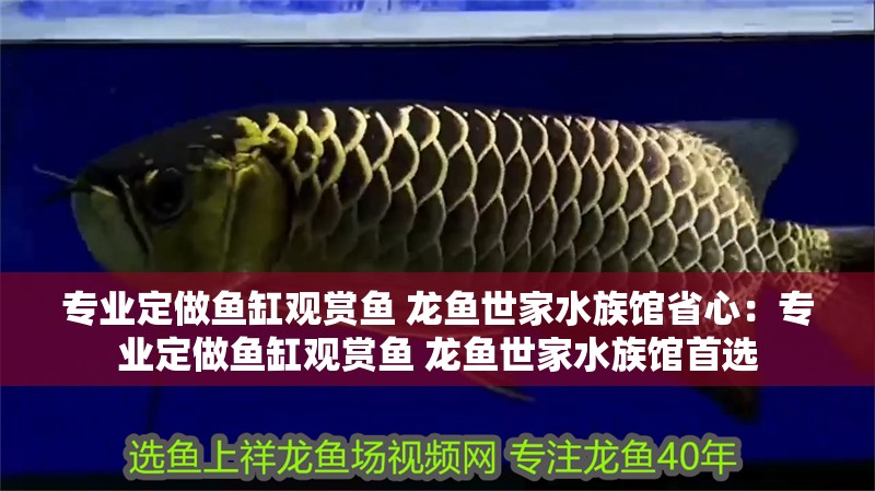 專業(yè)定做魚缸觀賞魚 龍魚世家水族館省心：專業(yè)定做魚缸觀賞魚 龍魚世家水族館首選