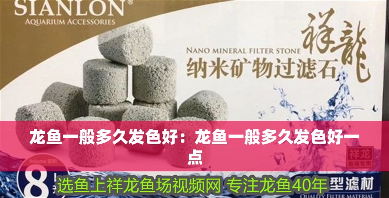 龍魚一般多久發色好：龍魚一般多久發色好一點