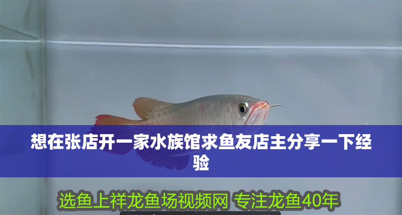 想在張店開一家水族館求魚友店主分享一下經驗
