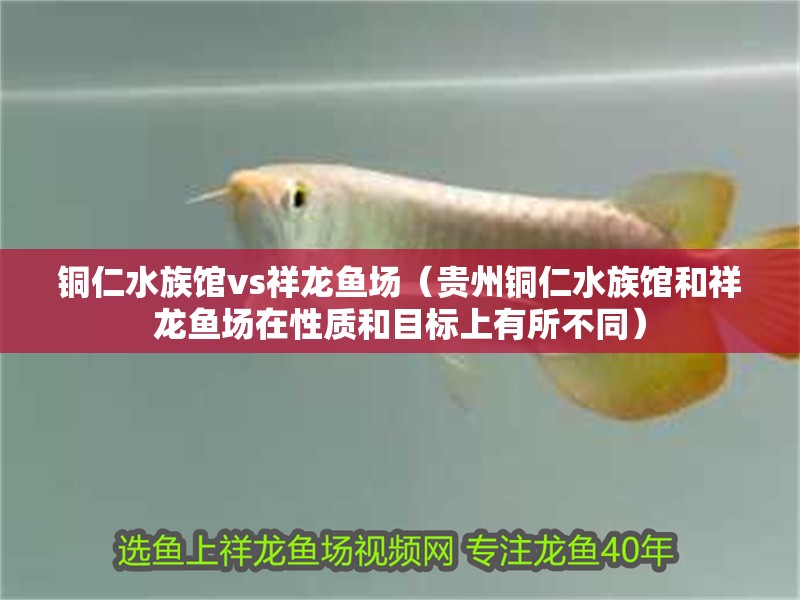 銅仁水族館vs祥龍魚場（貴州銅仁水族館和祥龍魚場在性質和目標上有所不同）