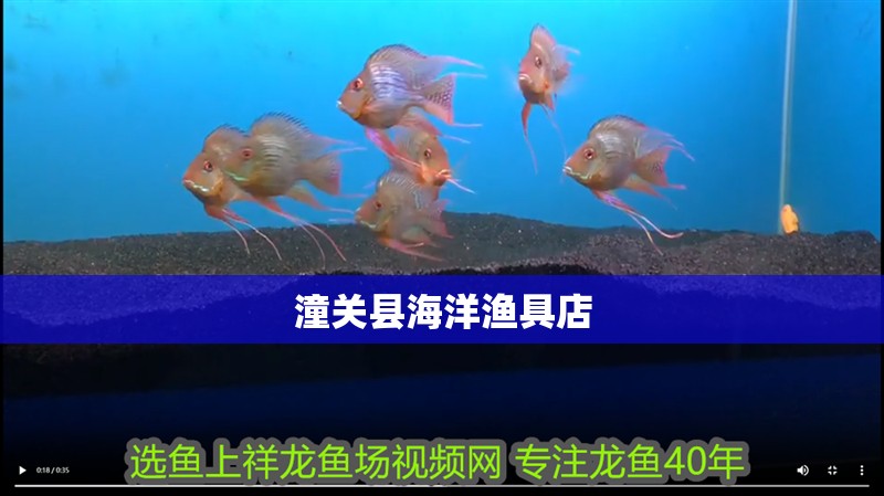 潼關縣海洋漁具店