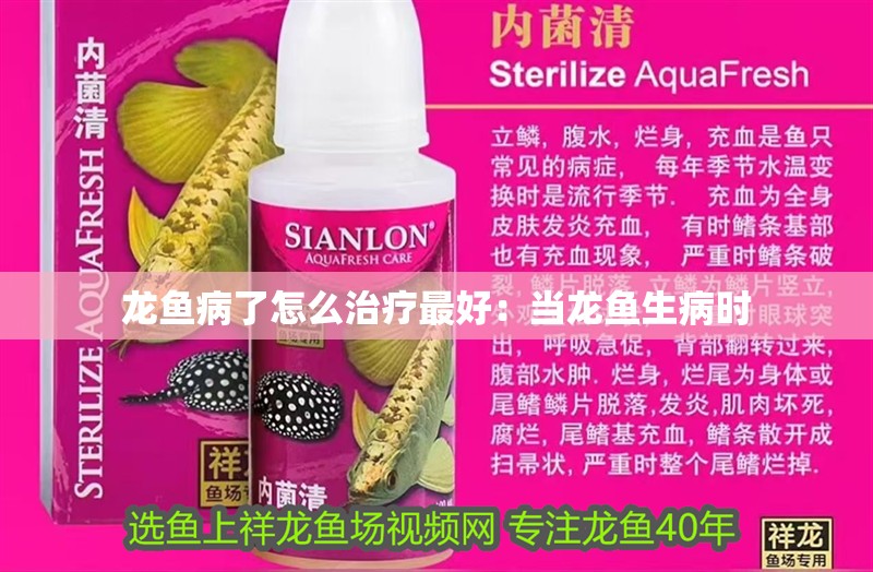 龍魚病了怎么治療最好：當龍魚生病時
