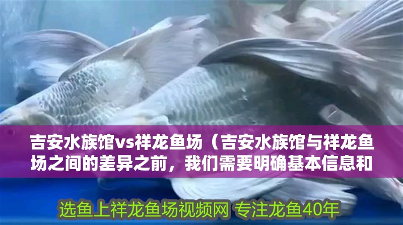 吉安水族館vs祥龍魚場(chǎng)（吉安水族館與祥龍魚場(chǎng)之間的差異之前，我們需要明確基本信息和特點(diǎn)） 吉安水族館vs祥龍魚場(chǎng)（吉安水族館與祥龍魚場(chǎng)之間的差異之前，我們需要明確基本信息和特點(diǎn)） 全國(guó)水族館企業(yè)名錄 第1張