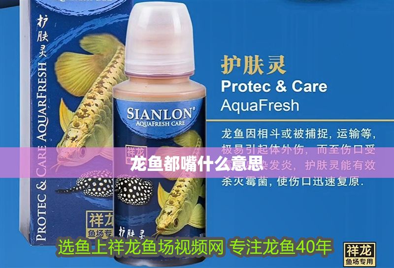 龍魚都嘴什么意思