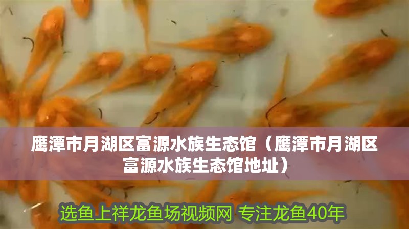鷹潭市月湖區富源水族生態館（鷹潭市月湖區富源水族生態館地址）