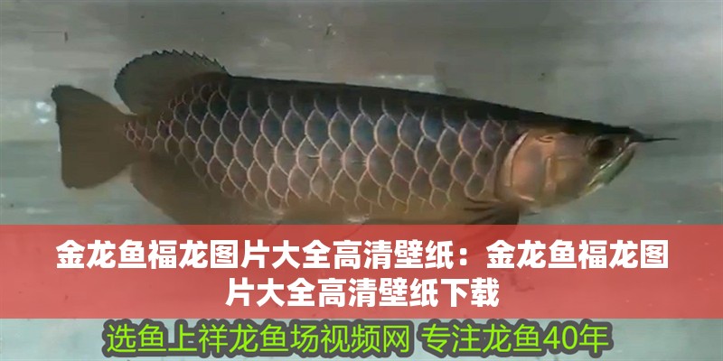 博特水泵控制器怎么用視頻教學(xué)講解(博特水泵控制器怎么用視頻教學(xué)講解圖)