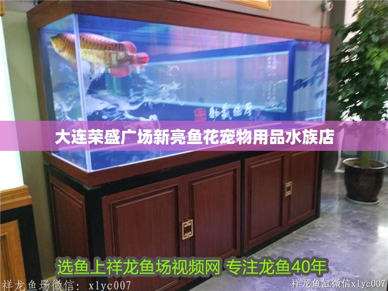 大連榮盛廣場新亮魚花寵物用品水族店