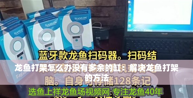 龍魚打架怎么辦沒有多余的缸：解決龍魚打架的方法