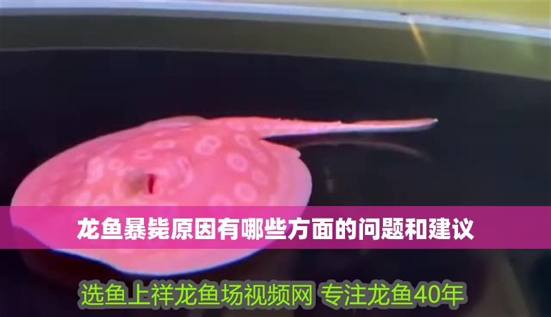 龍魚暴斃原因有哪些方面的問題和建議