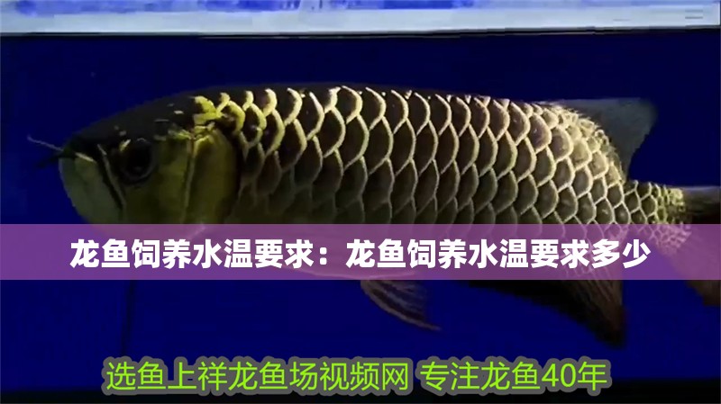 龍魚飼養(yǎng)水溫要求：龍魚飼養(yǎng)水溫要求多少