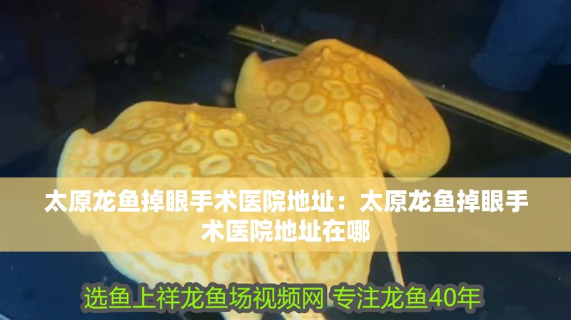 太原龍魚掉眼手術(shù)醫(yī)院地址：太原龍魚掉眼手術(shù)醫(yī)院地址在哪