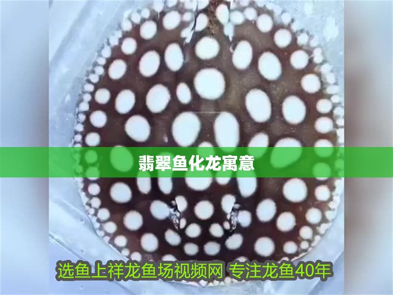 翡翠魚化龍寓意