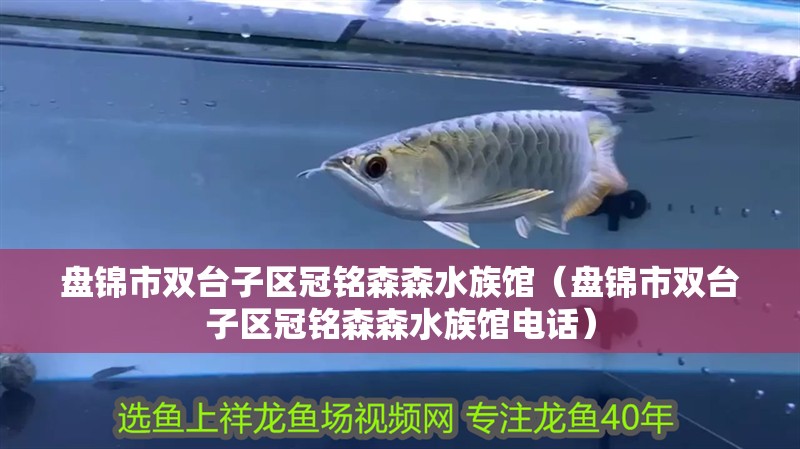 盤錦市雙臺子區冠銘森森水族館（盤錦市雙臺子區冠銘森森水族館電話）