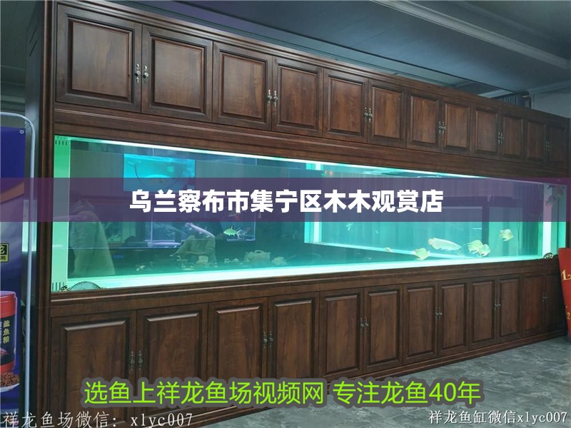 烏蘭察布市集寧區木木觀賞店