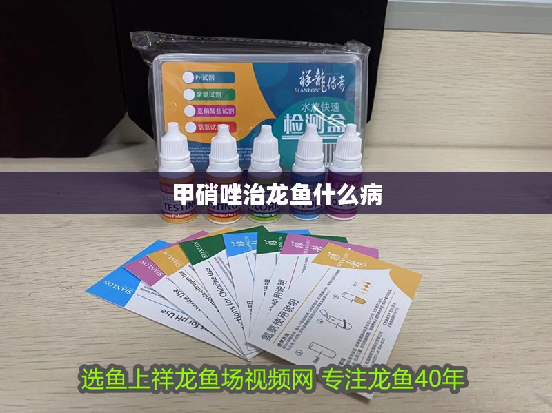 甲硝唑治龍魚什么病