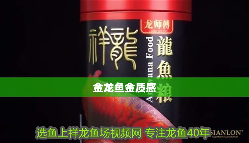 金龍魚金質感