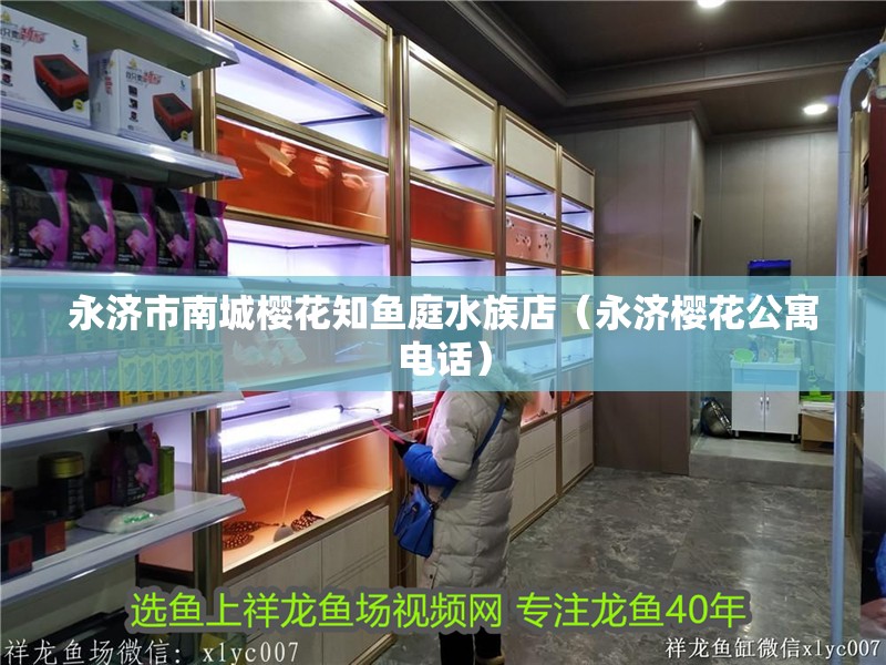 永濟市南城櫻花知魚庭水族店（永濟櫻花公寓電話）