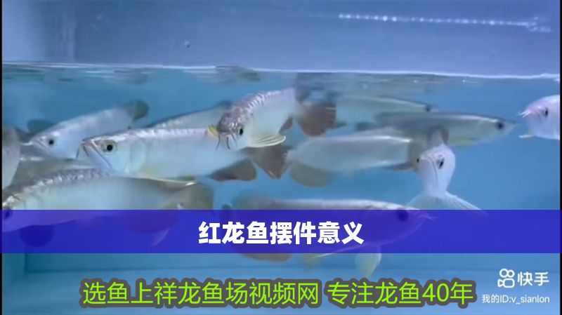 紅龍魚擺件意義